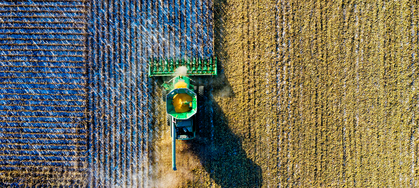 Importadora Metropolitana - Logistica Gonzalez