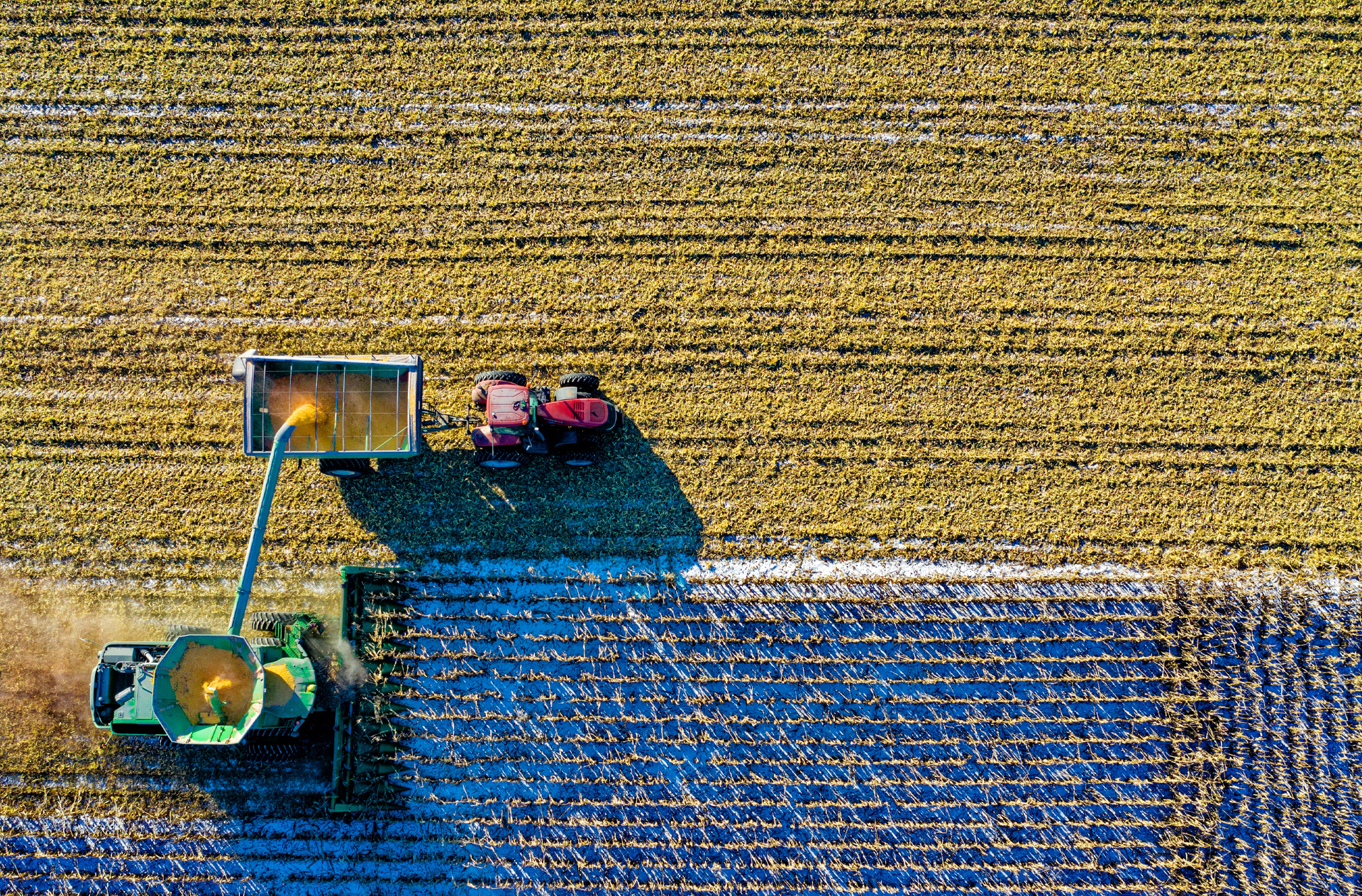 Importadora Metropolitana- Logistica Gonzalez y Transporte