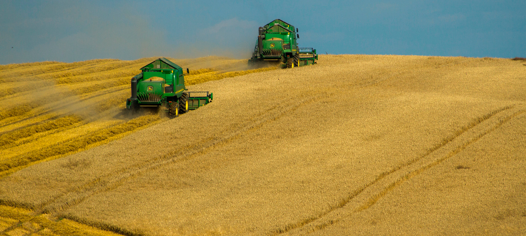 Importadora Metropolitana - Logistica Gonzalez